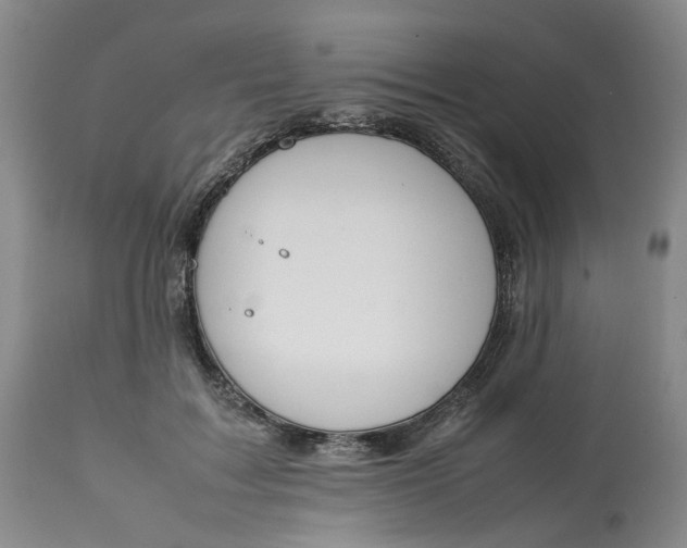 X0000113210603200910011321