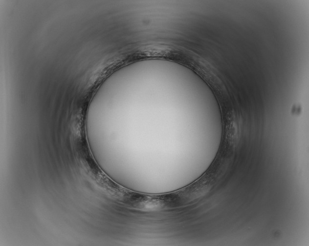 X0000113210604200910011321