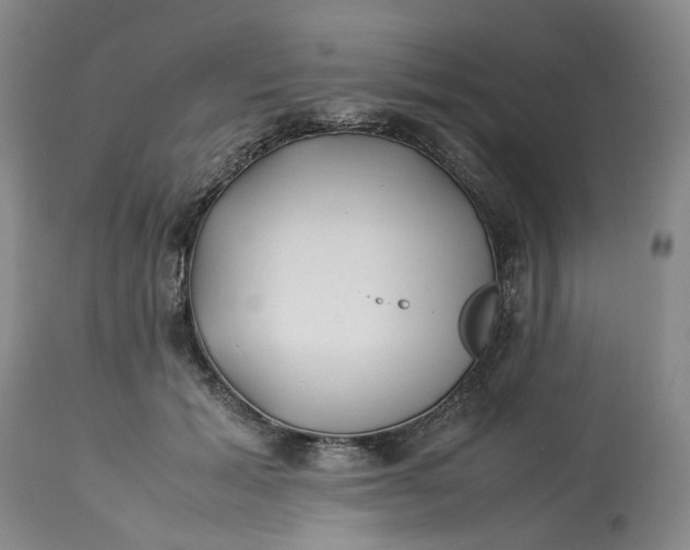 X0000113210605200910011321