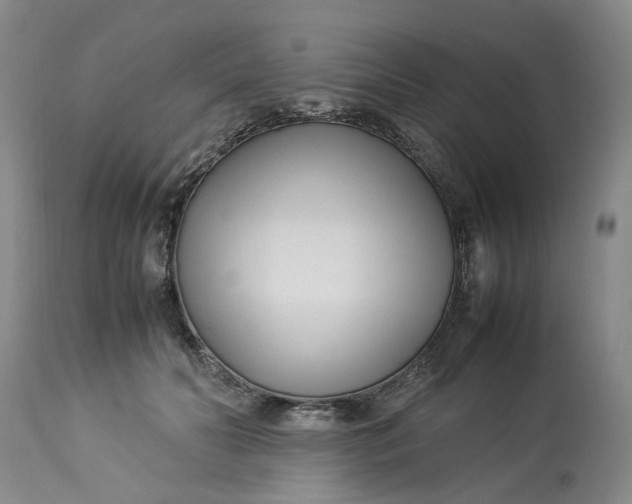 X0000113210606200910011321