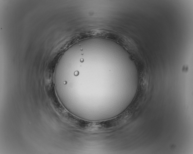 X0000113210607200910011321