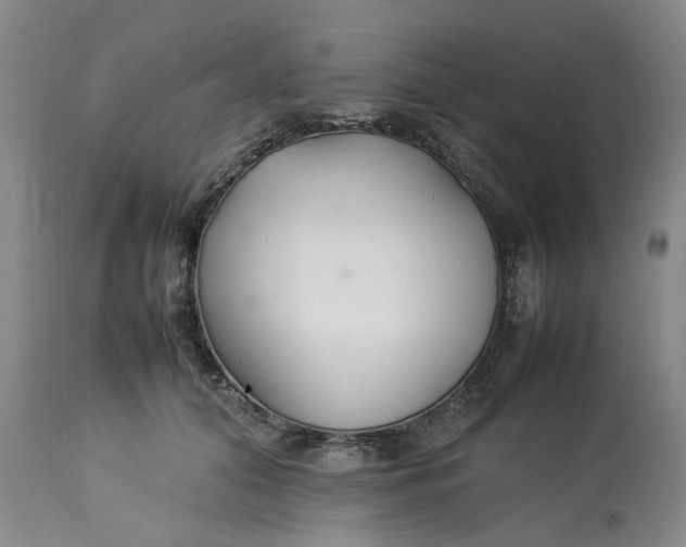 X0000113210608200910011321