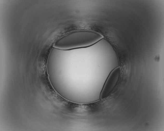 X0000113210609200910011321