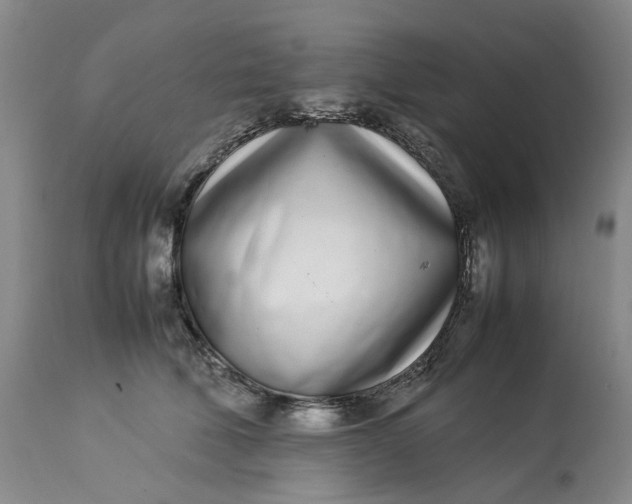 X0000113210610200910011321