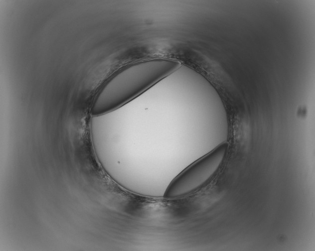 X0000113210611200910011321