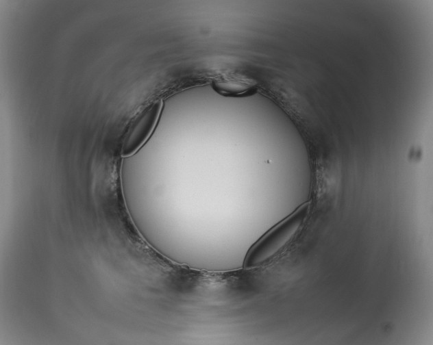 X0000113210613200910011321