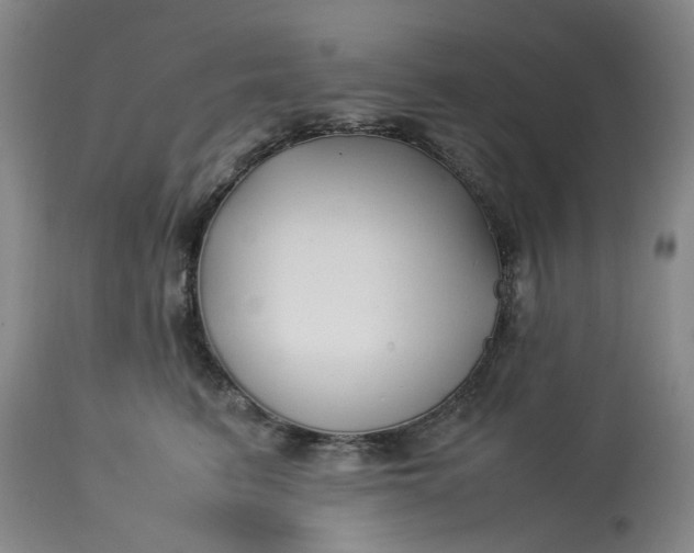 X0000113210615200910011321