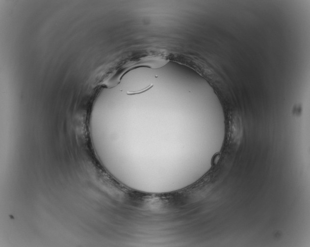 X0000113210616200910011321