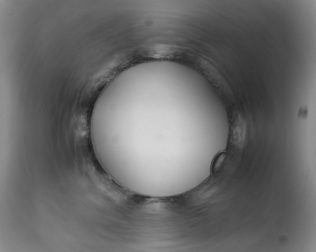 X0000113210620200910011321