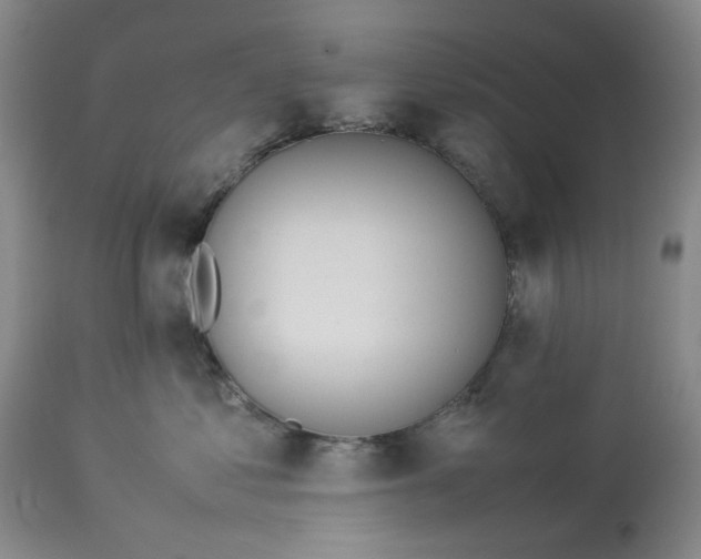 X0000113210621200910011321