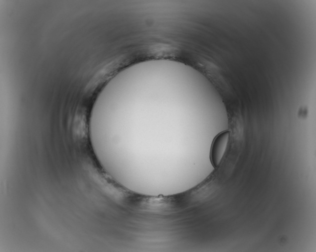 X0000113210622200910011321