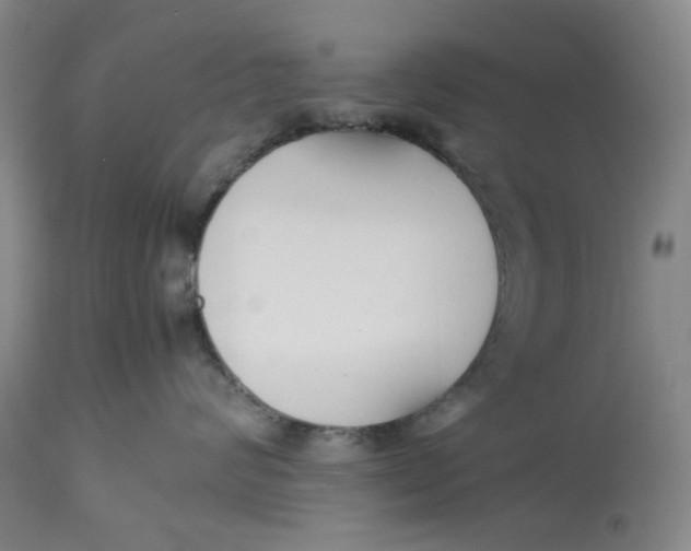 X0000113210624200910011321