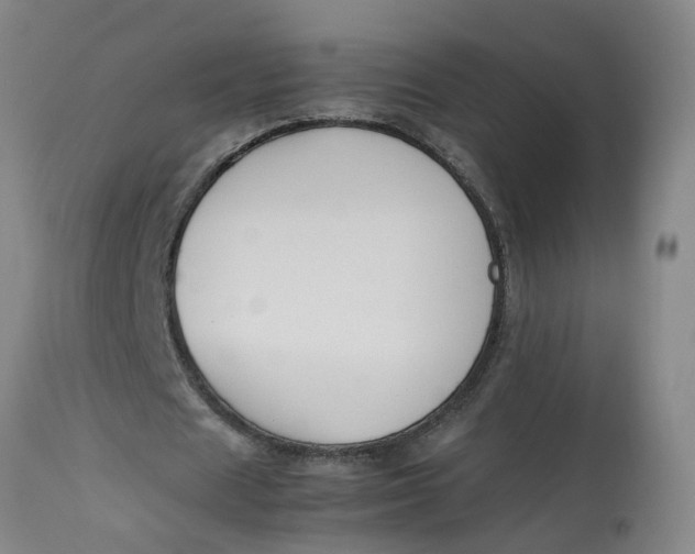 X0000113210625200910011320