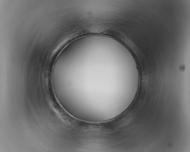 X0000113210626200910011320