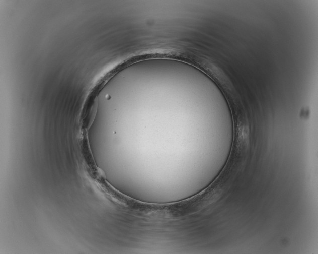 X0000113210628200910011320