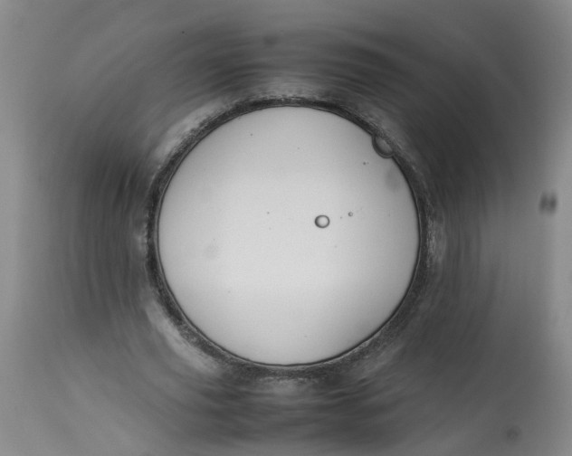 X0000113210629200910011320