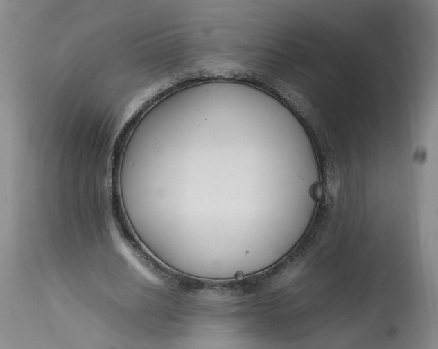 X0000113210630200910011320