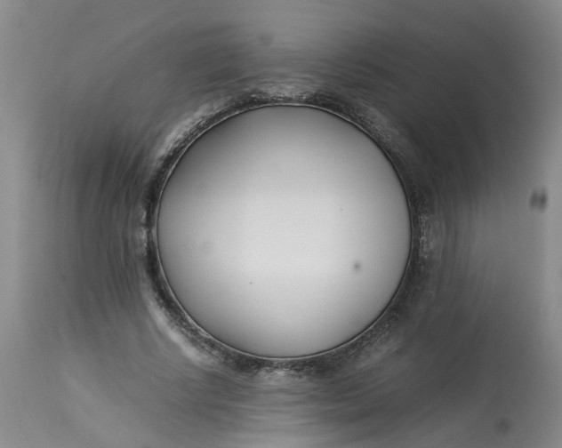 X0000113210634200910011321