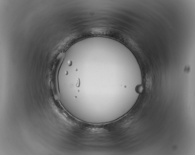 X0000113210637200910011321