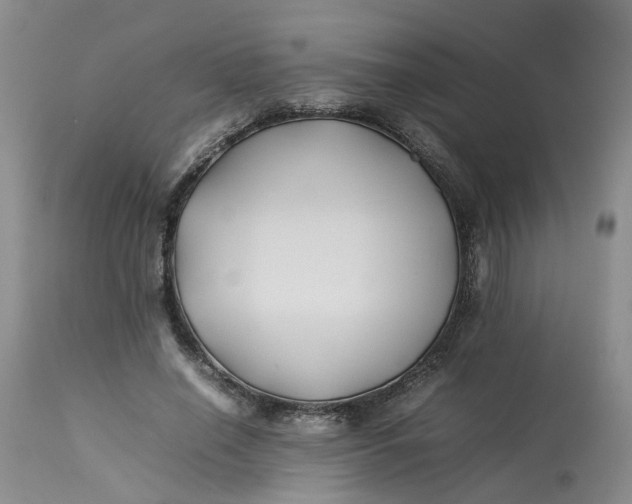 X0000113210638200910011321