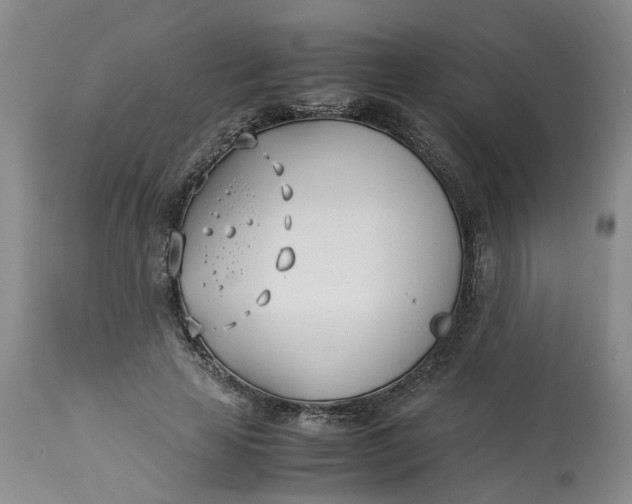 X0000113210641200910011321