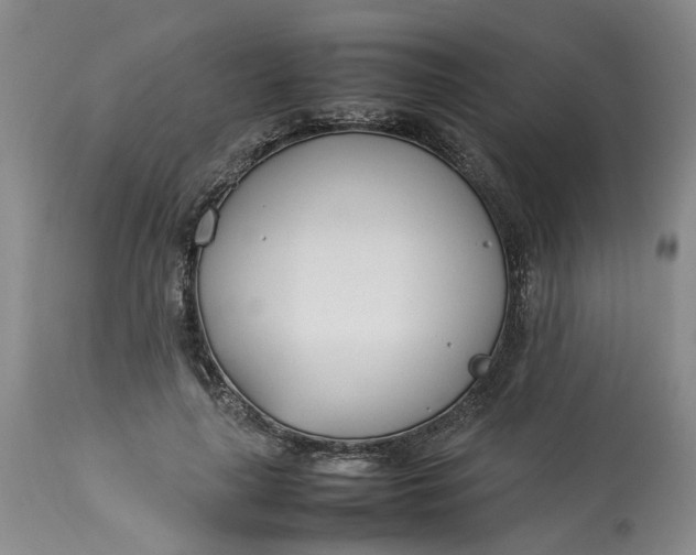 X0000113210643200910011321