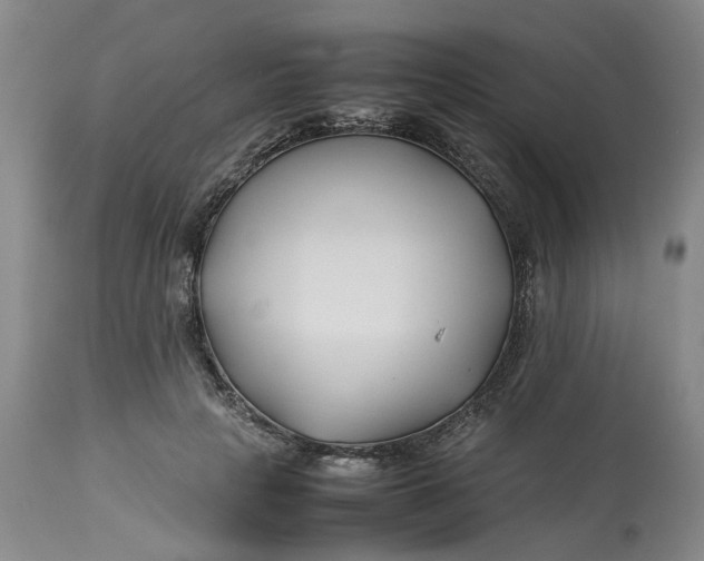 X0000113210649200910011321