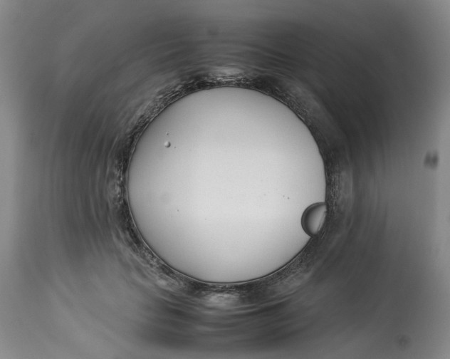 X0000113210653200910011321