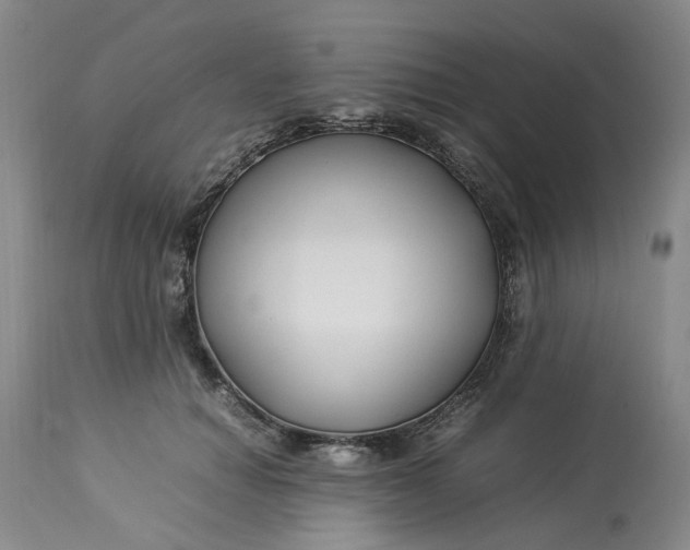 X0000113210654200910011321