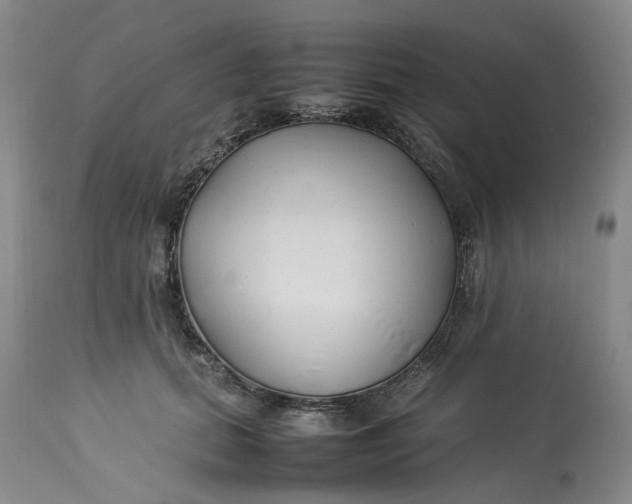 X0000113210655200910011321