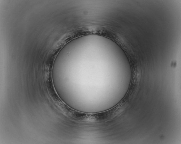 X0000113210656200910011321