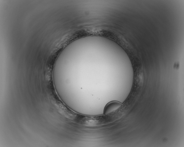 X0000113210658200910011321