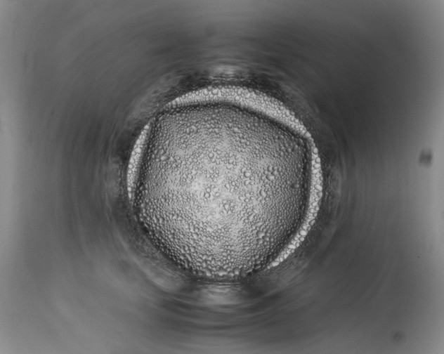 X0000113210659200910011321