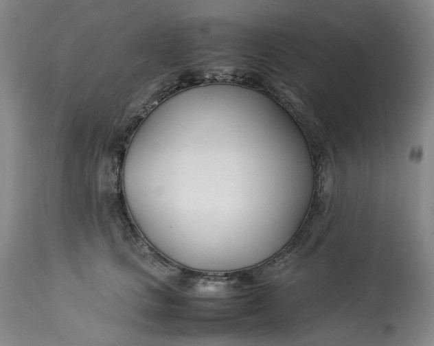 X0000113210661200910011321