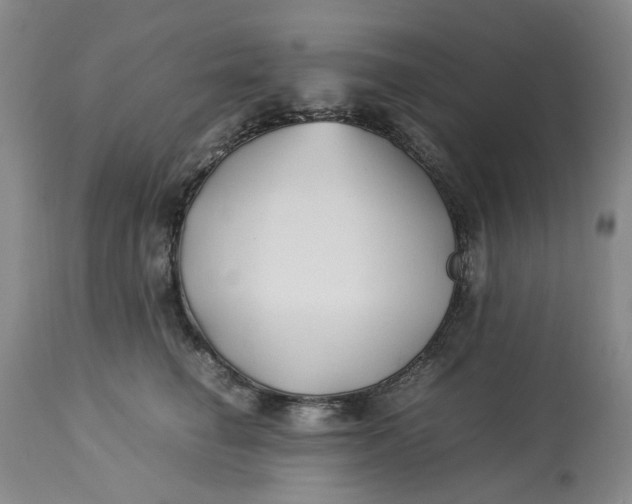 X0000113210662200910011321