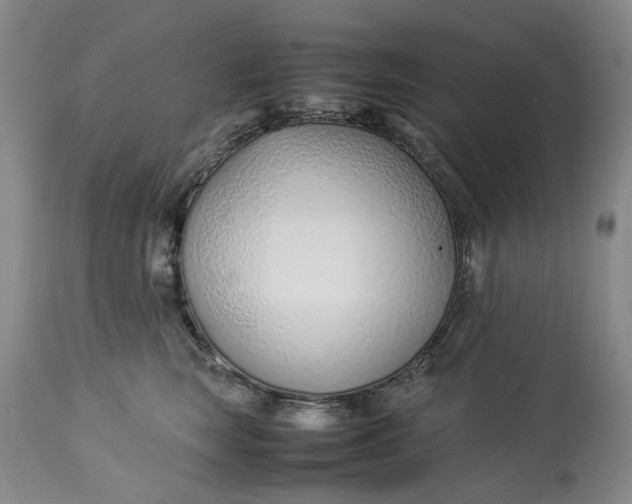 X0000113210663200910011321