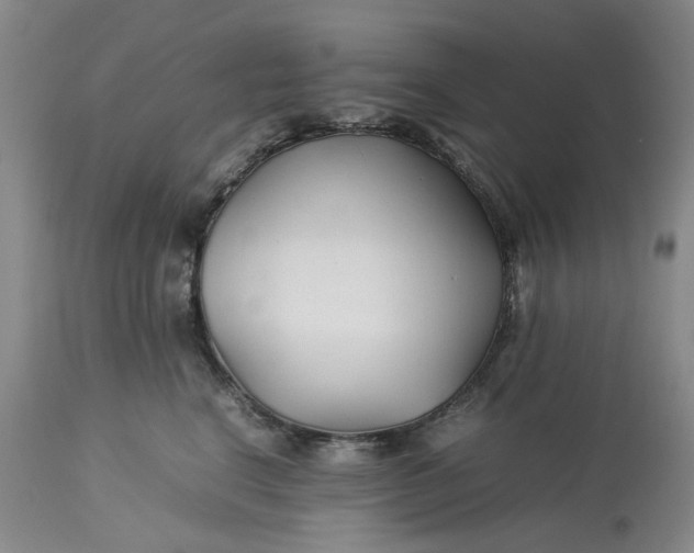 X0000113210664200910011321