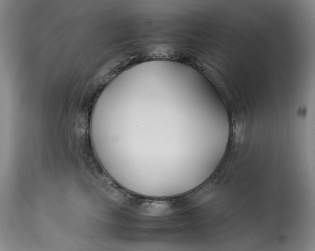 X0000113210665200910011321