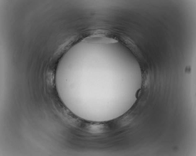 X0000113210669200910011321