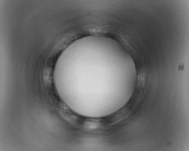 X0000113210671200910011321