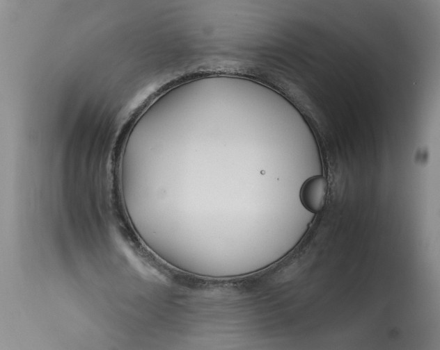 X0000113210674200910011320