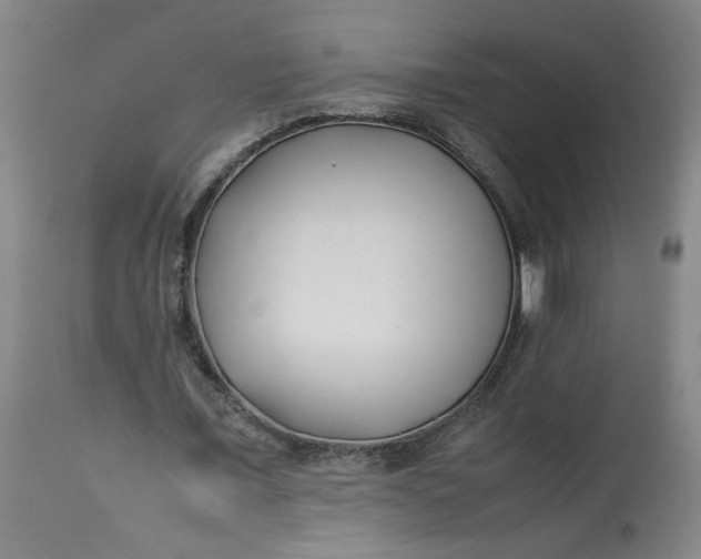 X0000113210675200910011320