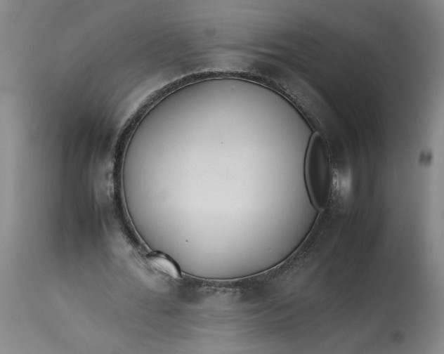 X0000113210676200910011320