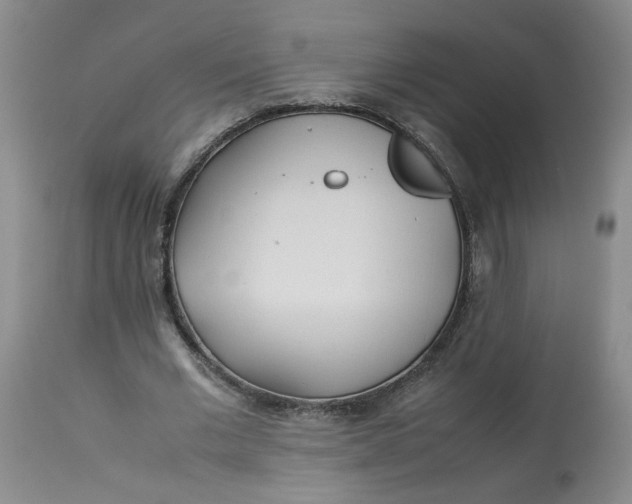 X0000113210677200910011320