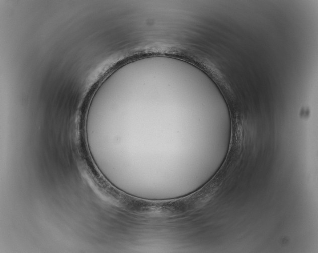 X0000113210678200910011320