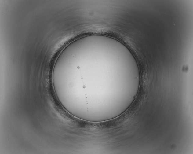 X0000113210679200910011320