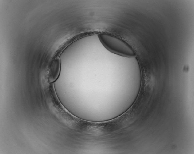 X0000113210680200910011320