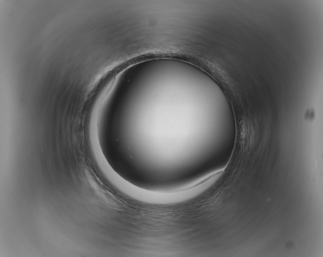 X0000113210684200910011320