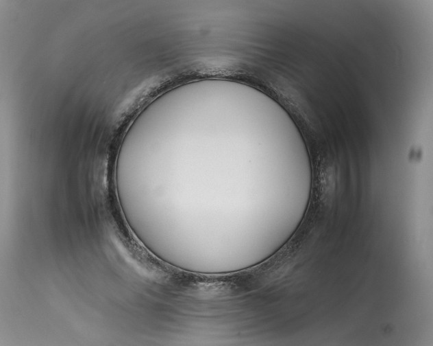 X0000113210686200910011320