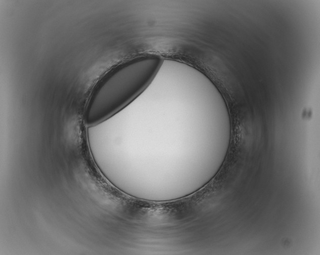 X0000113210688200910011320